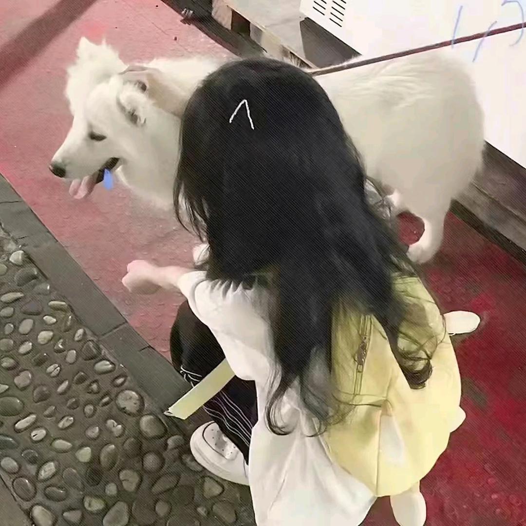 水中月.
