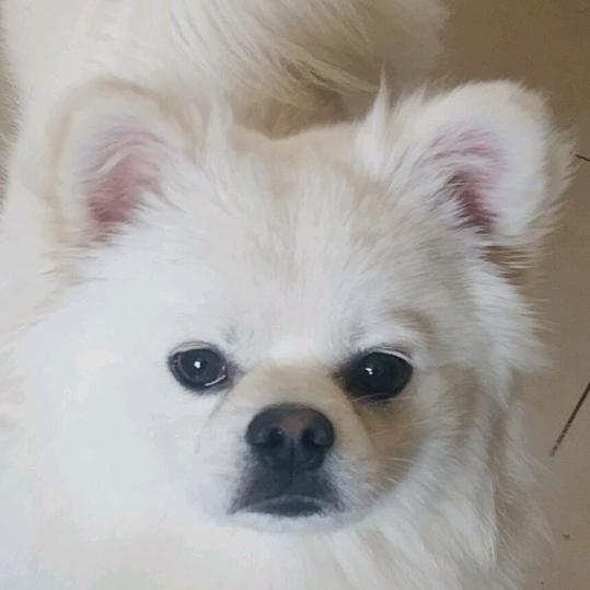 ✨ᵛ¹柒贰零࿐
