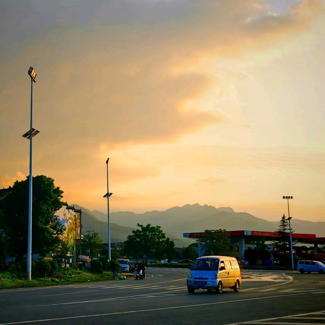 落红不是无情物