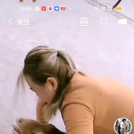 风雨过后的彩虹