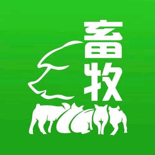 老姚聊养猪