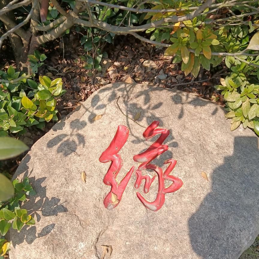 风中百🈴️