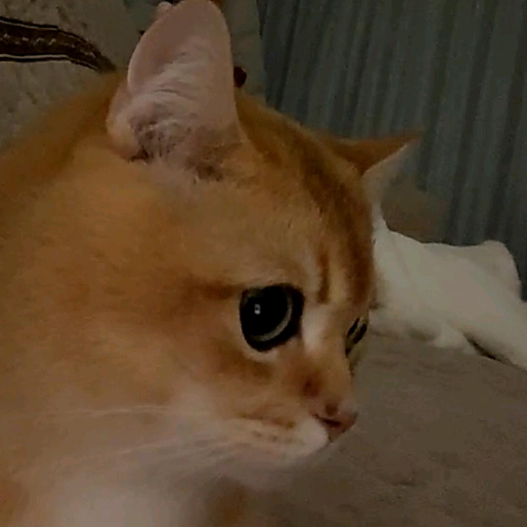 宜兴市禾源农业科技有限公司