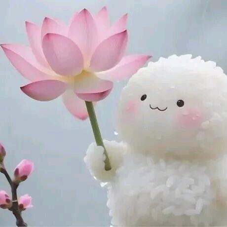 啊庆要减肥
