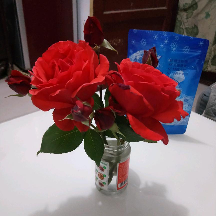 用户1501038870756
