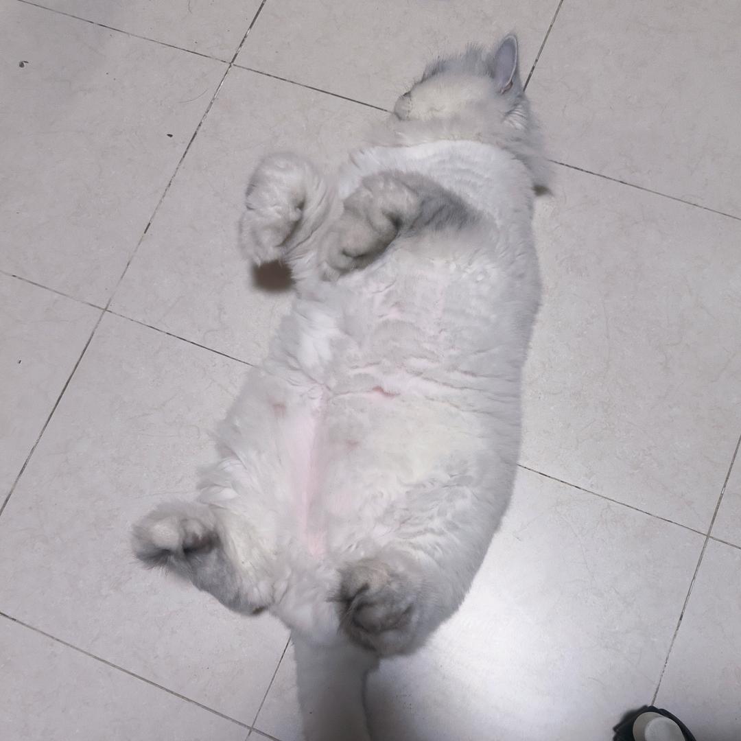 挖出二