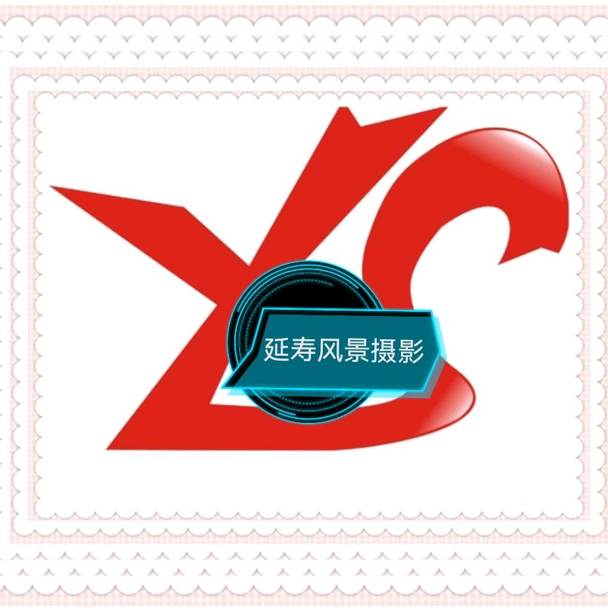 延寿影音