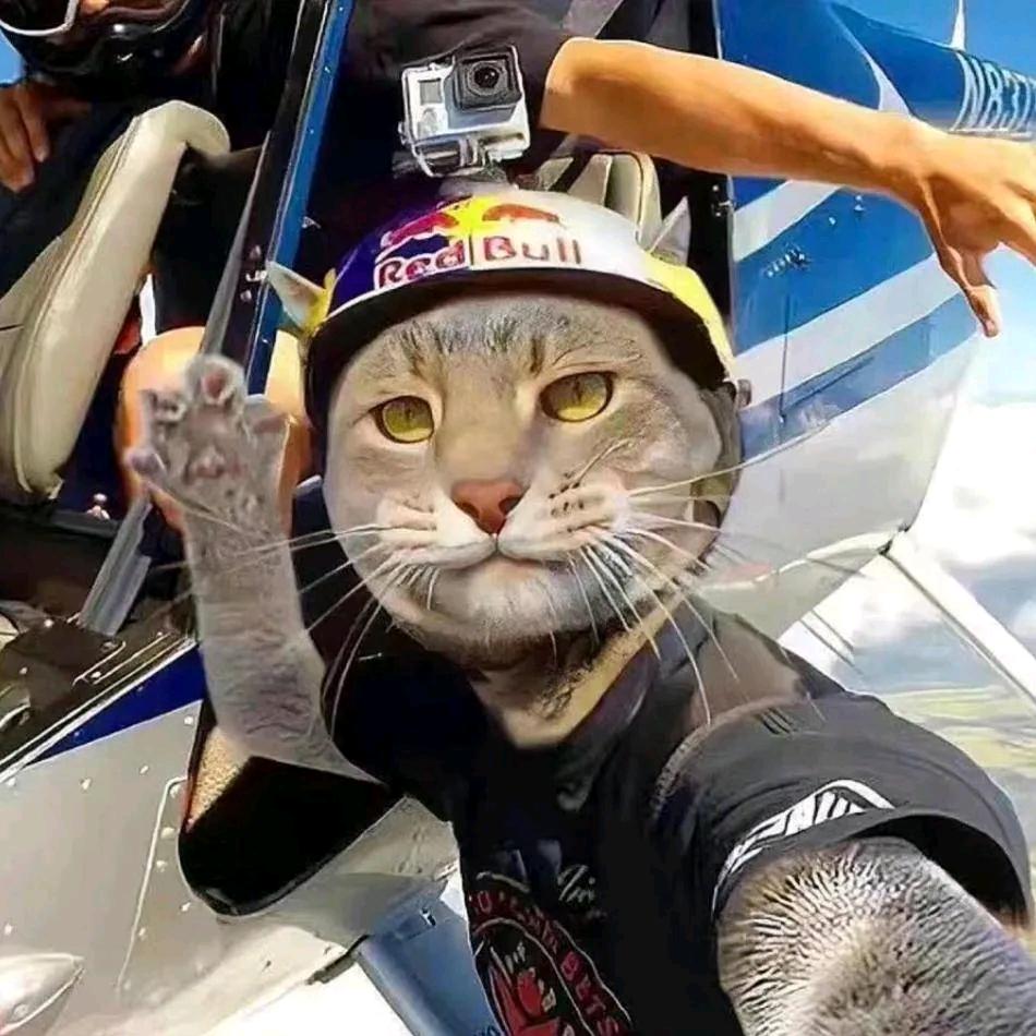 杨帆🌪起航🚩