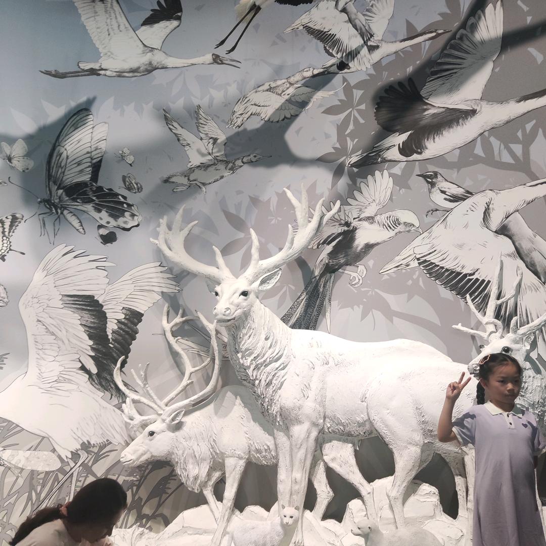 下辈子做许三多