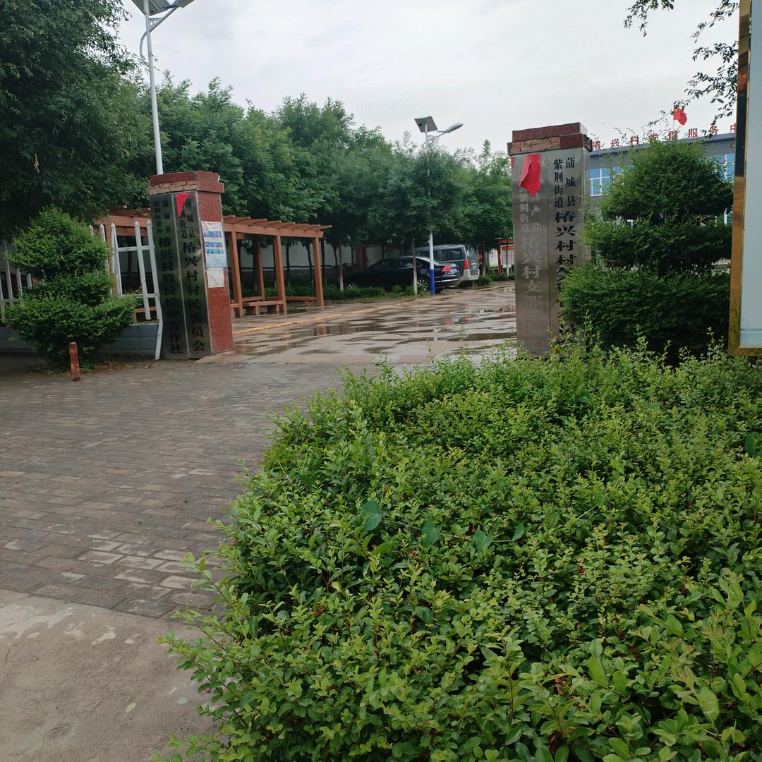 歌唱达人，潇洒哥。