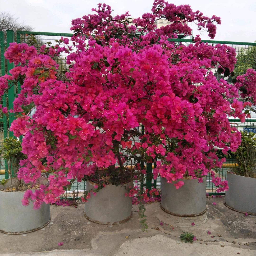 开心快乐🇨🇳