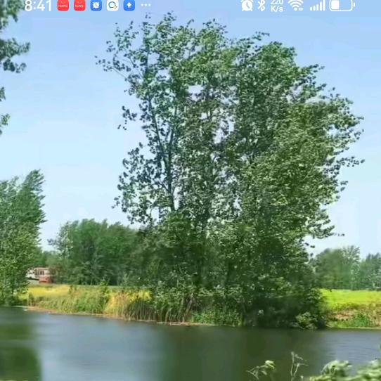 四季缘