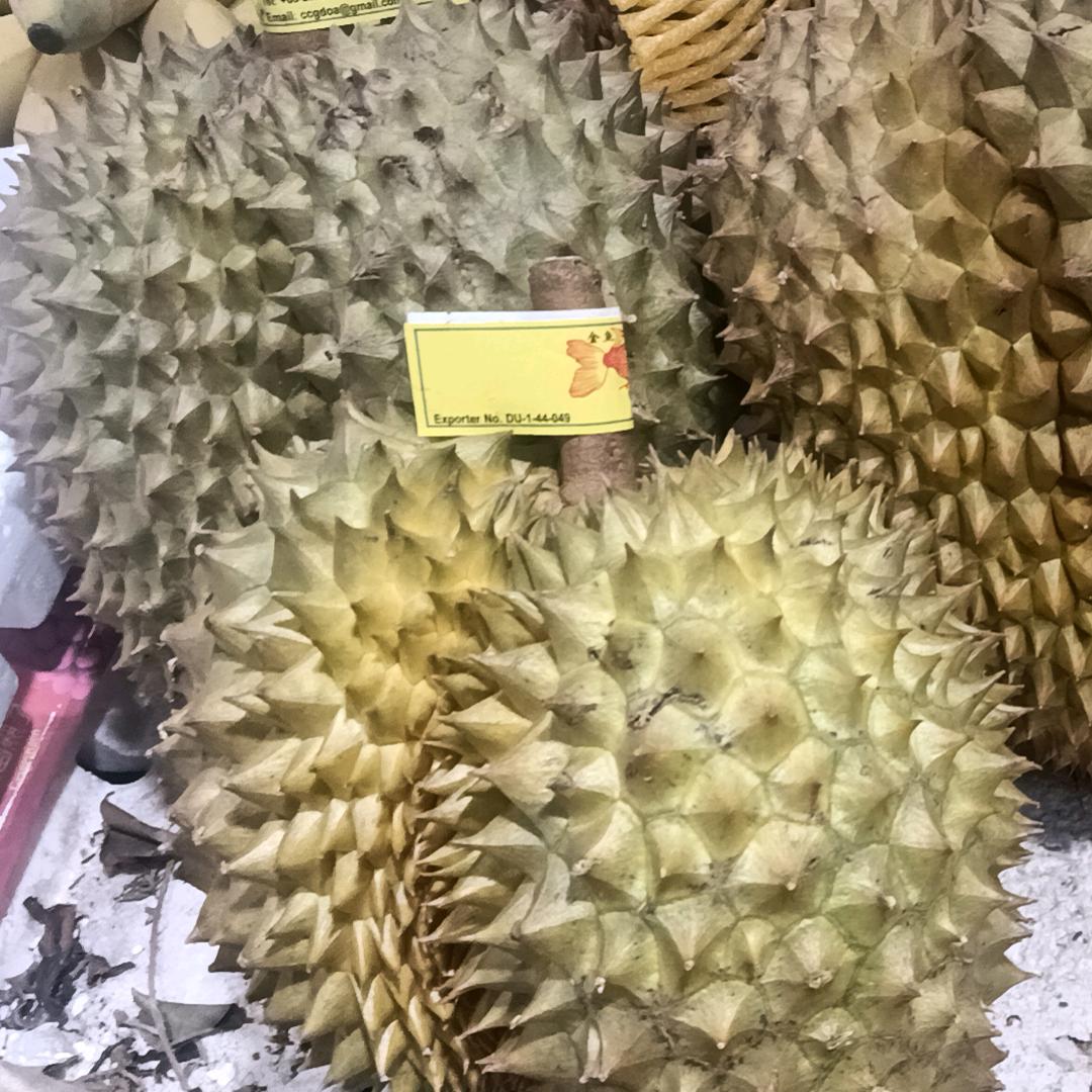 做梦梦到钱，醒来就有钱