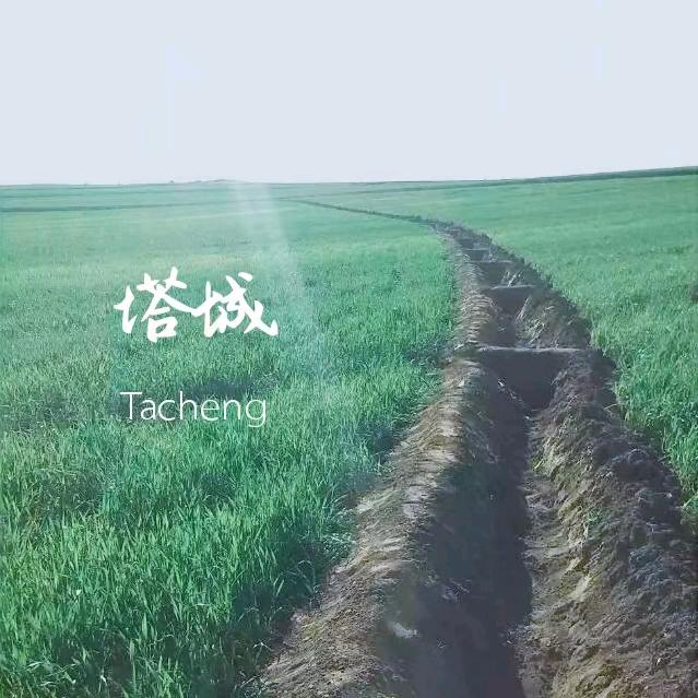 新农人小马