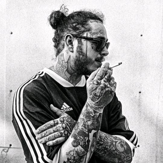 Mr z
