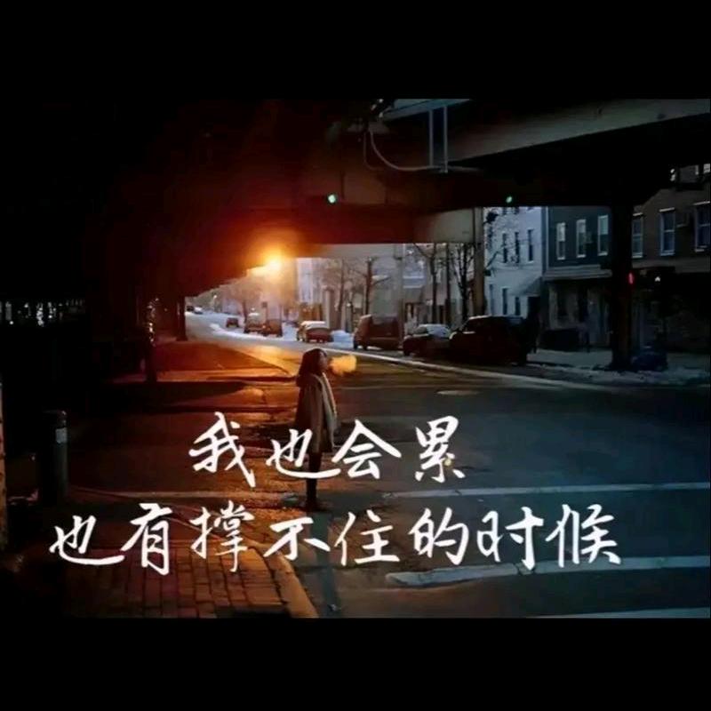 遇见星星的旅程