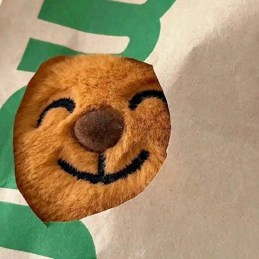 数学数学输着血学🌨️