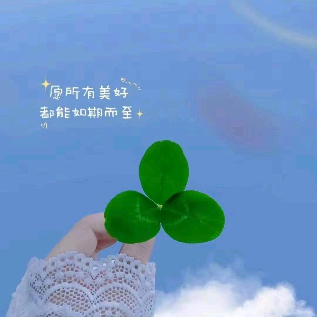 心若止水