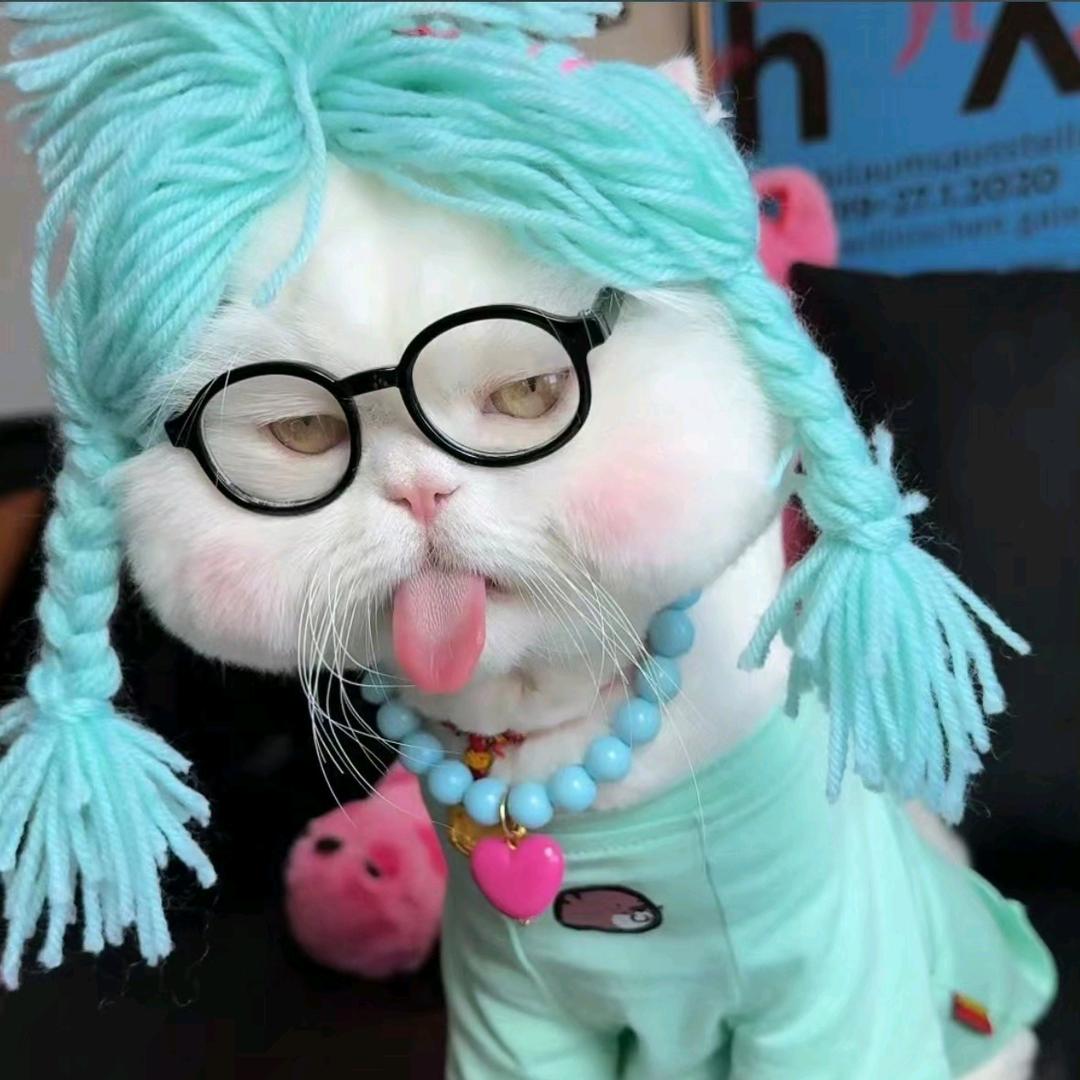 一只喵