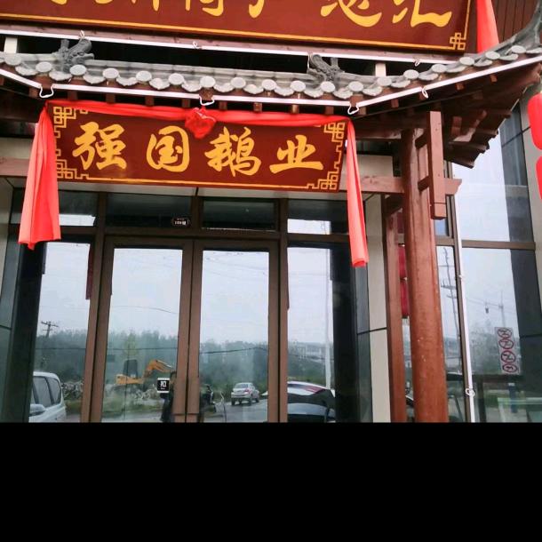 强国鹅业2店