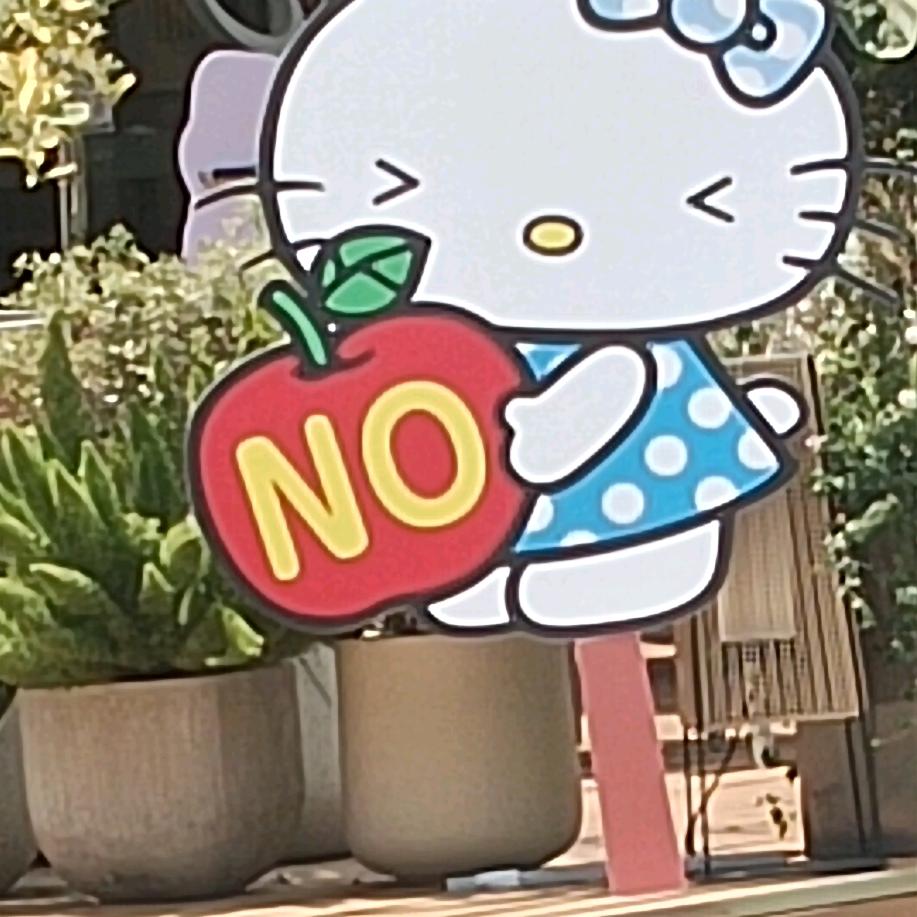 LH丫