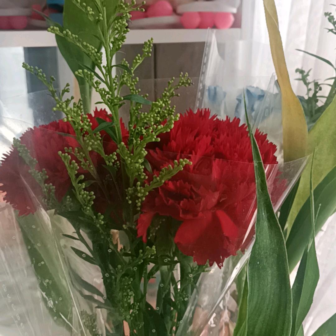 赏心悦目～～～