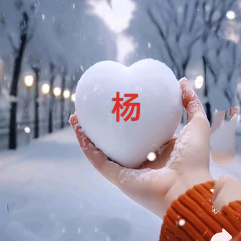杨姐