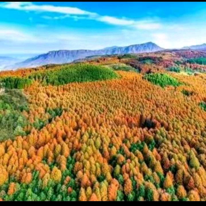 70后的白发小姨