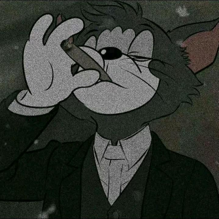 汤姆猫
