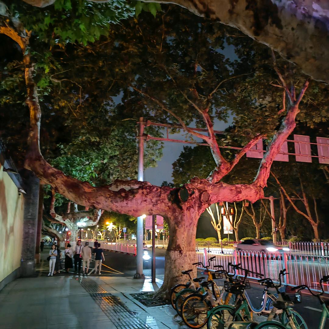 闲人 王老板