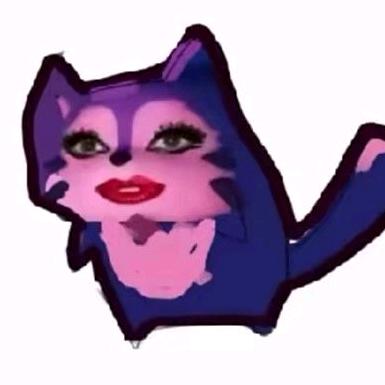 夜半猫回来发疯