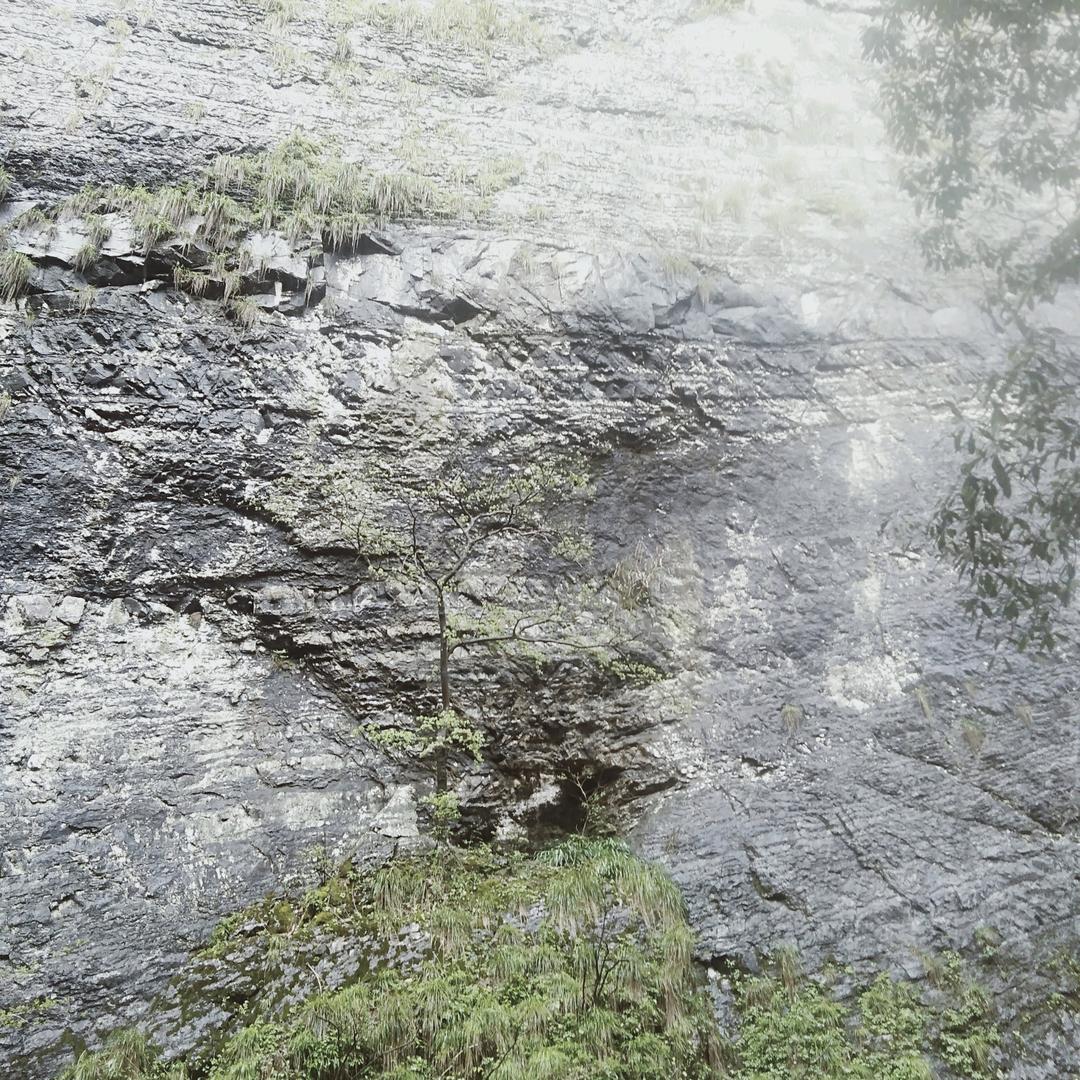 春暖花开一生平安