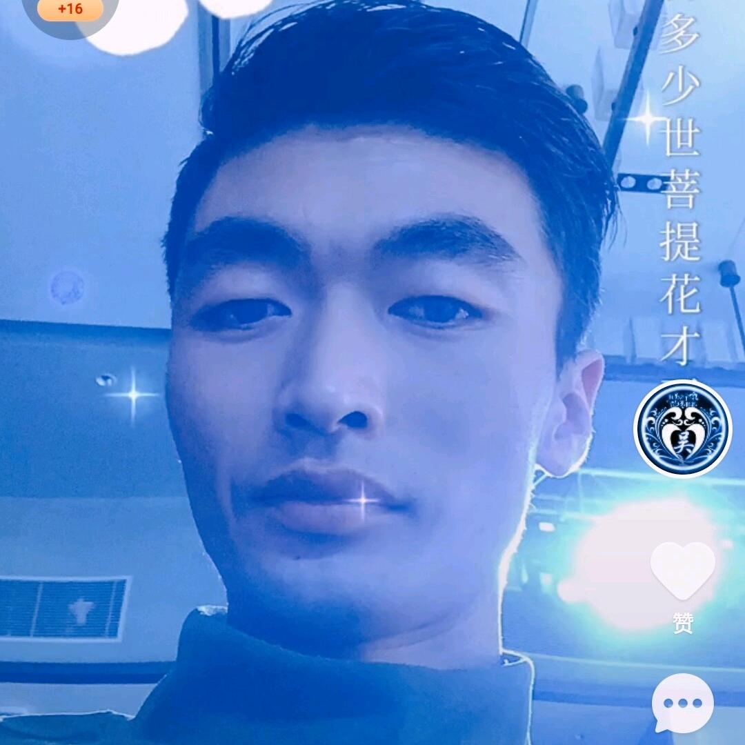 西夏王子