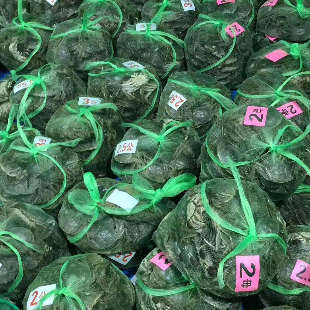 太湖