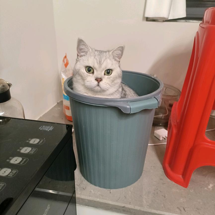 青逸