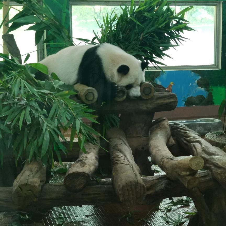 街溜子