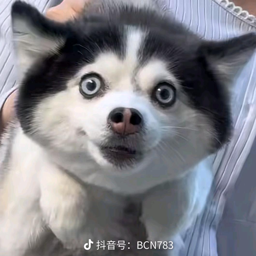 顶风而上