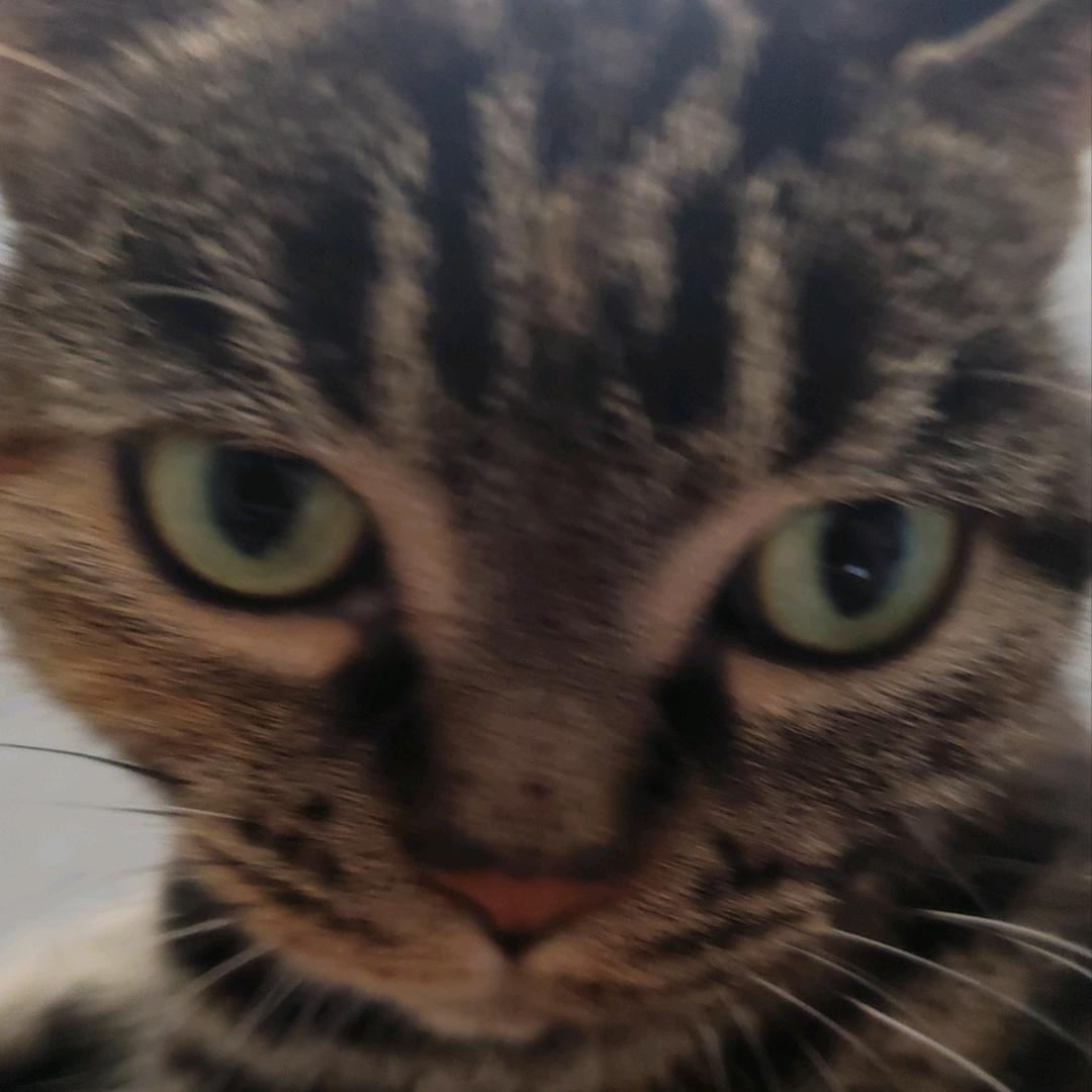 AAAAAA强哥冲压模具组装与修复加工