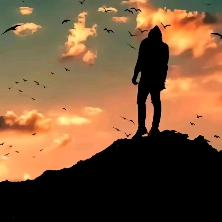 走马街上买土豆