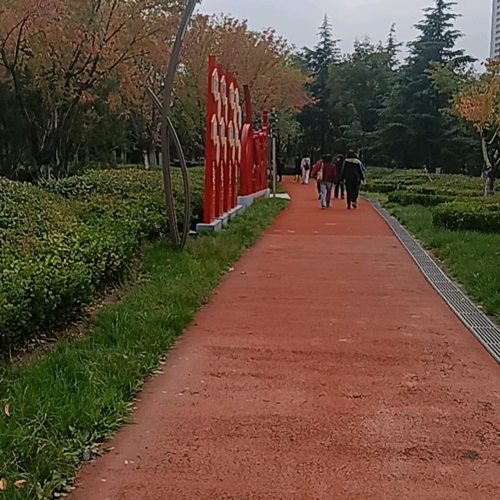年轮