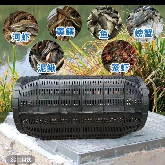 宁静的夏天