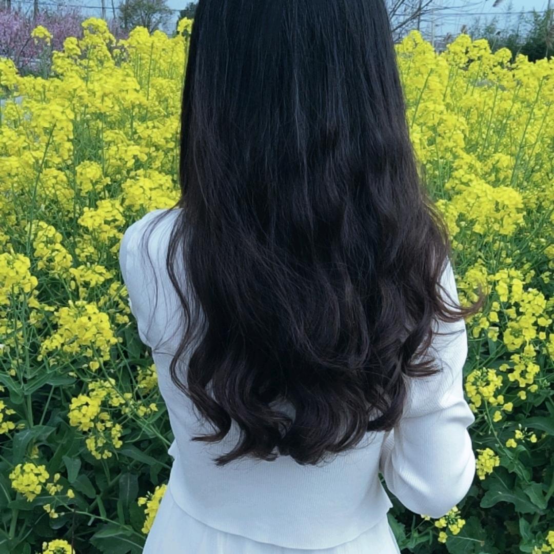 ಢ᭄清ོ零🥀ᝰ᭄²⁰²⁴