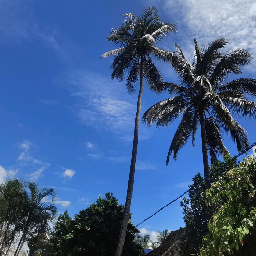 小敏