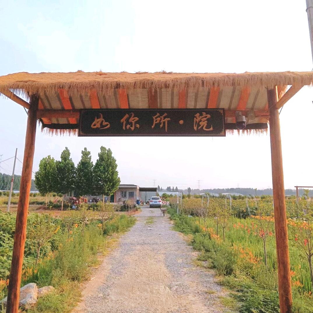 如你所·院