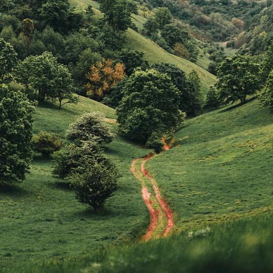 宁夏昌旭电子商务有限公司宁夏昌旭问直播号