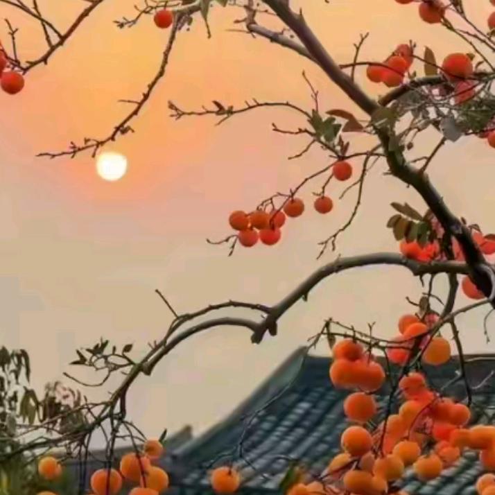@平凡🌈