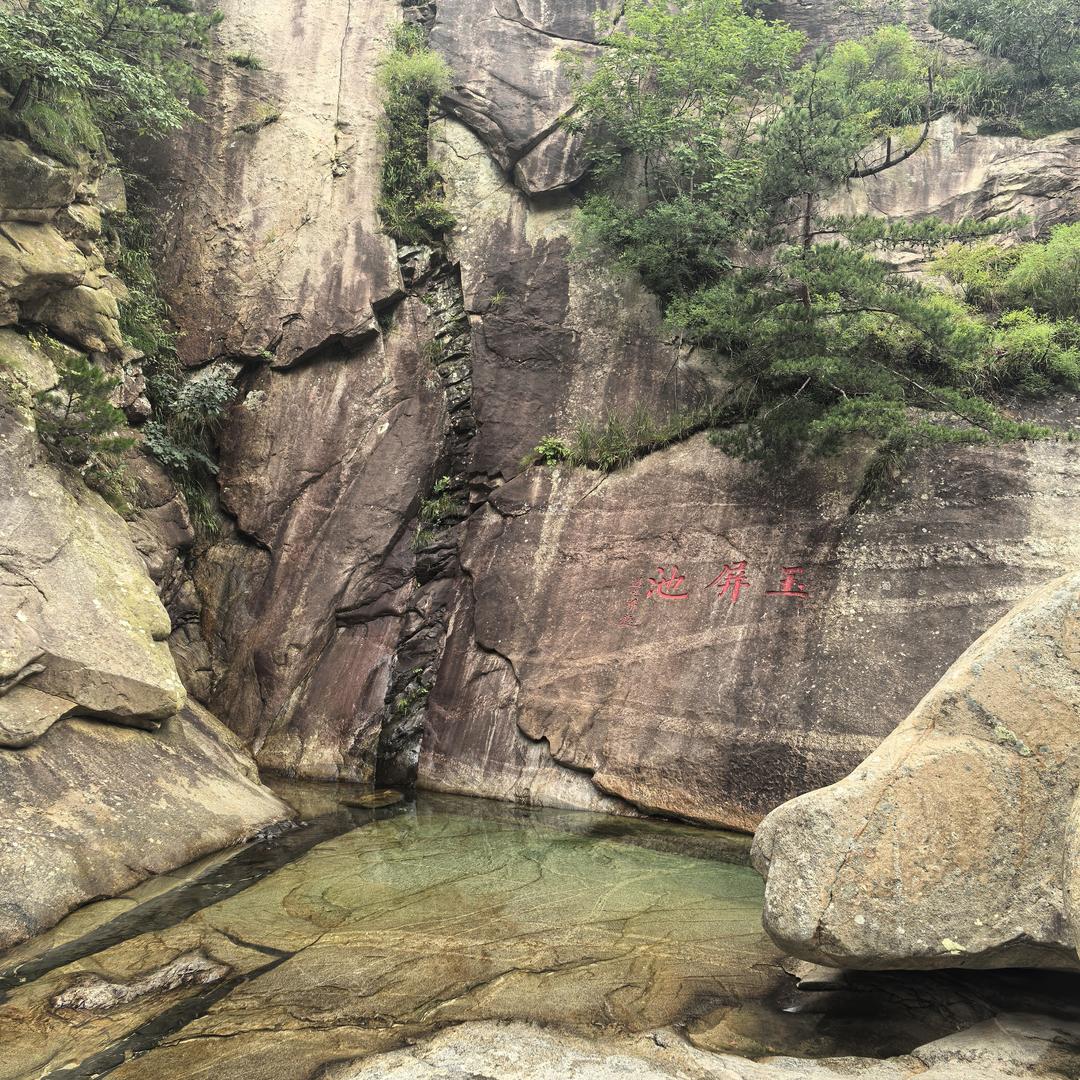 小马