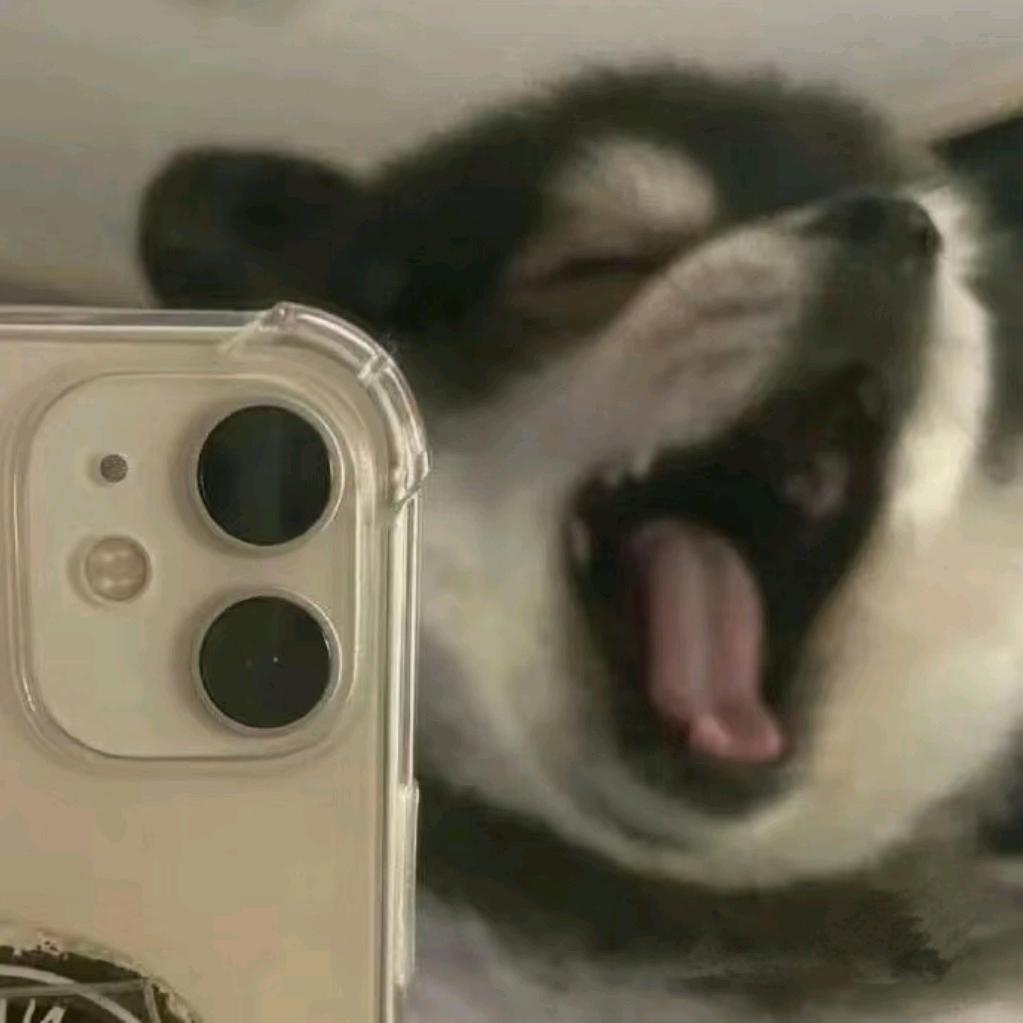 不要叫我搞笑男