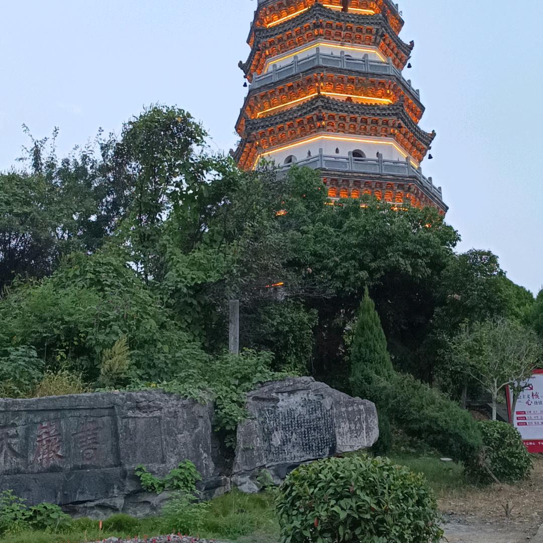 妲己陪你玩