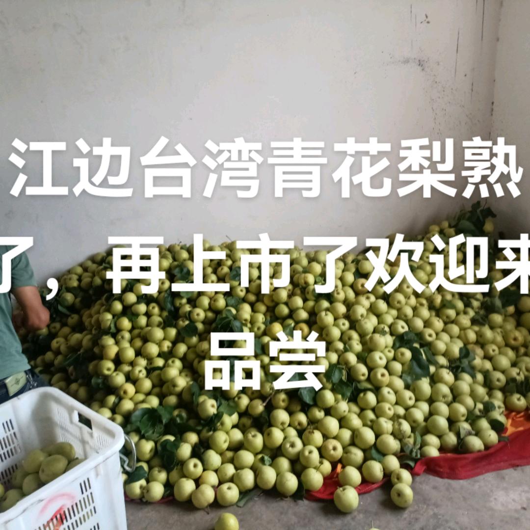 和丽伍